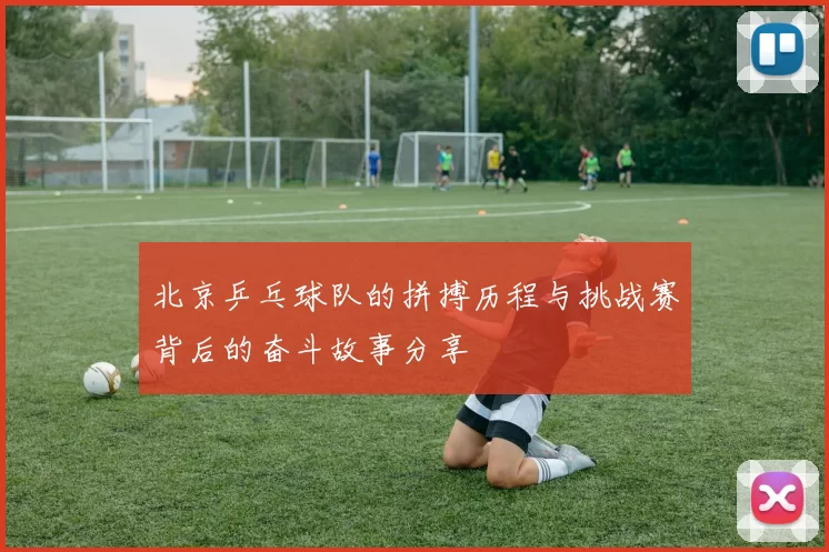 北京乒乓球队的拼搏历程与挑战赛背后的奋斗故事分享