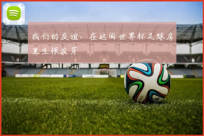 我们的友谊，在这间世界杯足球房里生根发芽