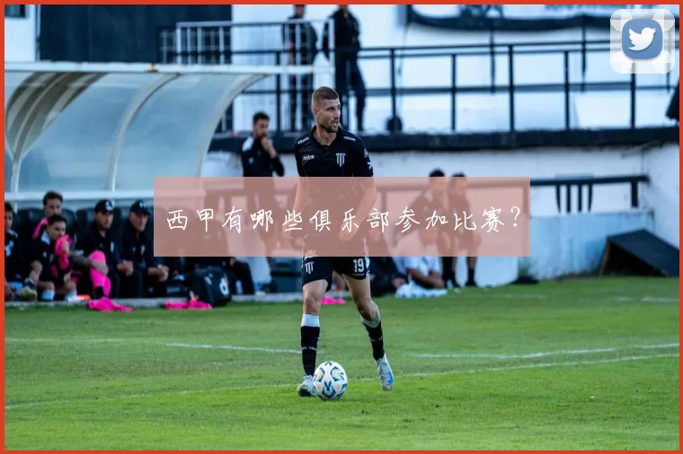 西甲有哪些俱乐部参加比赛？