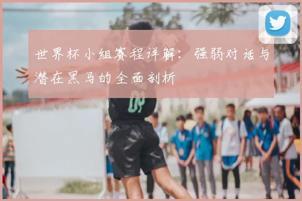 世界杯小组赛程详解：强弱对话与潜在黑马的全面剖析