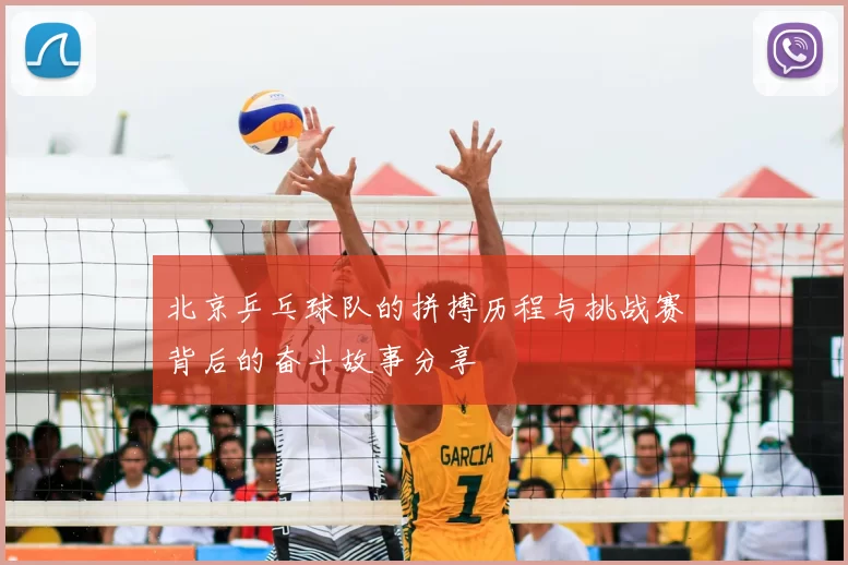 北京乒乓球队的拼搏历程与挑战赛背后的奋斗故事分享
