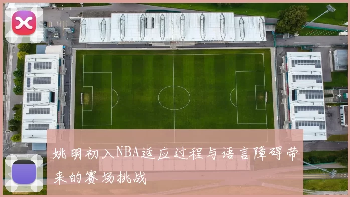 姚明初入NBA适应过程与语言障碍带来的赛场挑战
