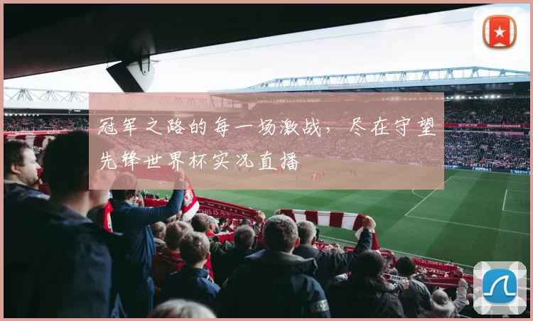 冠军之路的每一场激战，尽在守望先锋世界杯实况直播