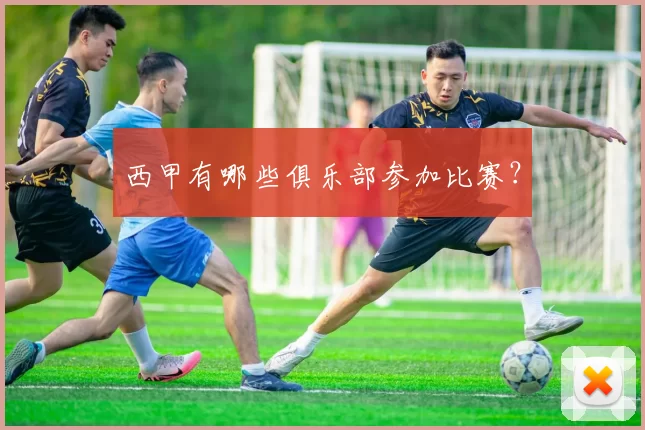 西甲有哪些俱乐部参加比赛？