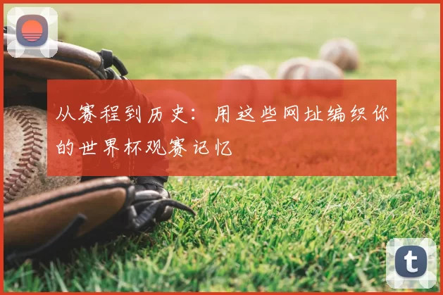 从赛程到历史：用这些网址编织你的世界杯观赛记忆
