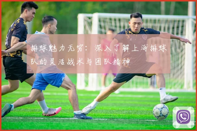 排球魅力无穷：深入了解上海排球队的灵活战术与团队精神