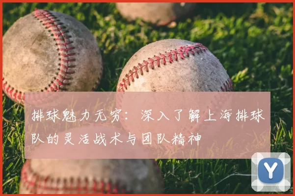 排球魅力无穷：深入了解上海排球队的灵活战术与团队精神