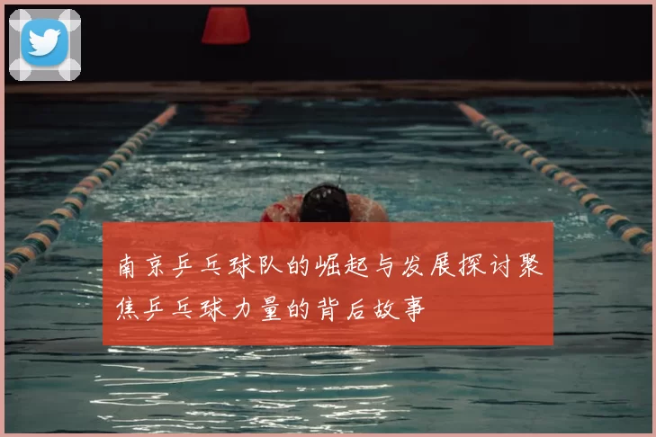 南京乒乓球队的崛起与发展探讨聚焦乒乓球力量的背后故事