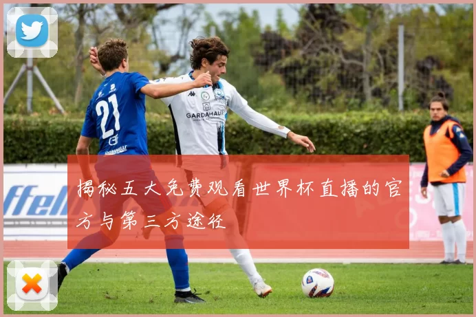 揭秘五大免费观看世界杯直播的官方与第三方途径