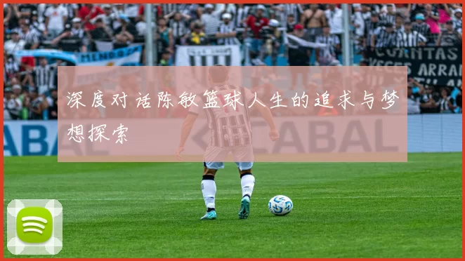 深度对话陈敏篮球人生的追求与梦想探索