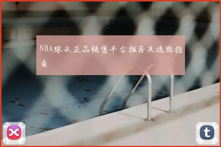 NBA球衣正品销售平台推荐及选购指南