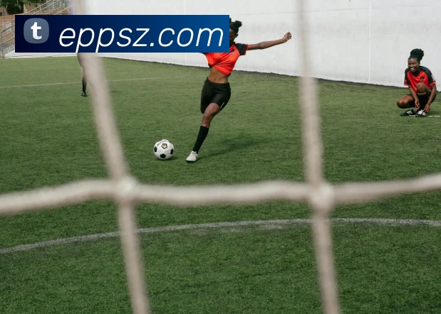 App Interface Preview